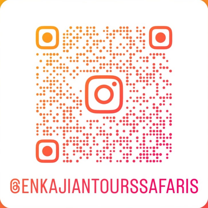 Enkajiang' Tours & Safaris Limited